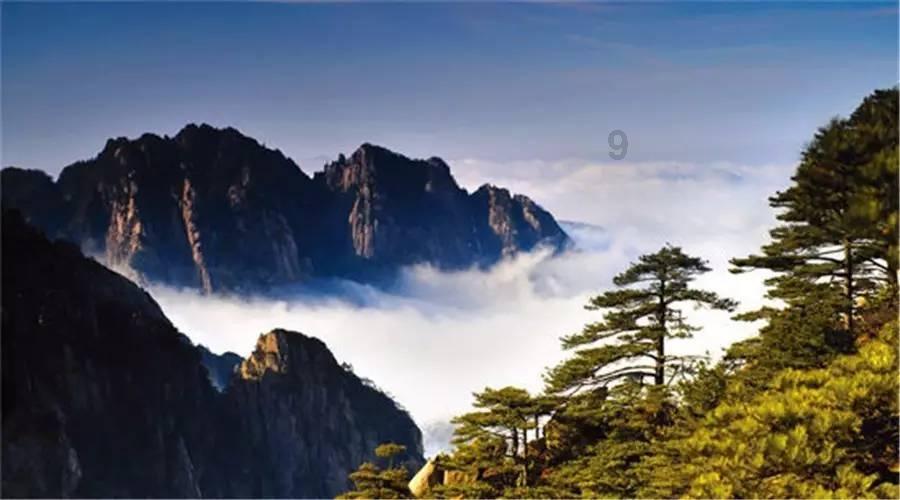 逗小猴开心系列172