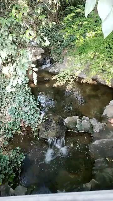 脑洞小老弟无实名认证