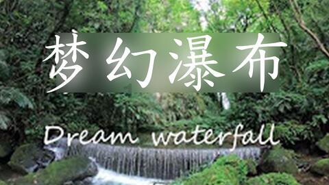 救援狗与猫