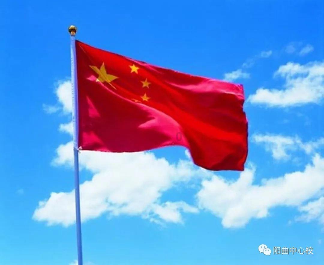 新春走基层|一颗青菜头的“新”路历程