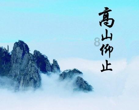 蜜蜂救援