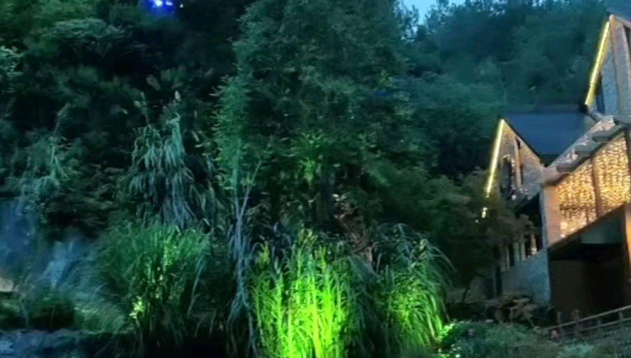 杀手5
